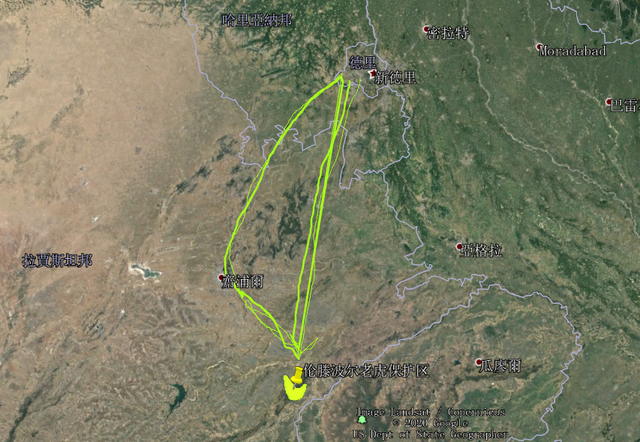 虎女王为虎王老公提供猎物,投怀送抱,却对虎崽凶悍严厉,为啥?