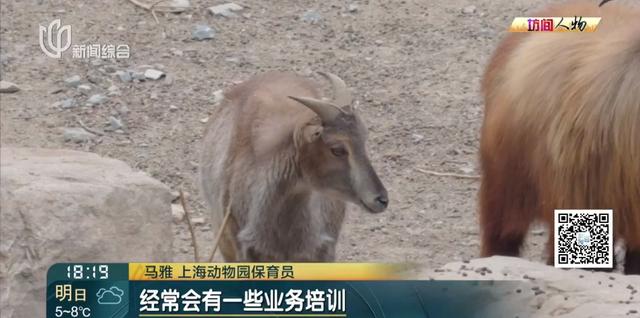 00后女生剑桥毕业，回上海找的工作让所有人意外！本人回应→