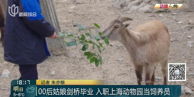 00后女生剑桥毕业，回上海找的工作让所有人意外！本人回应→