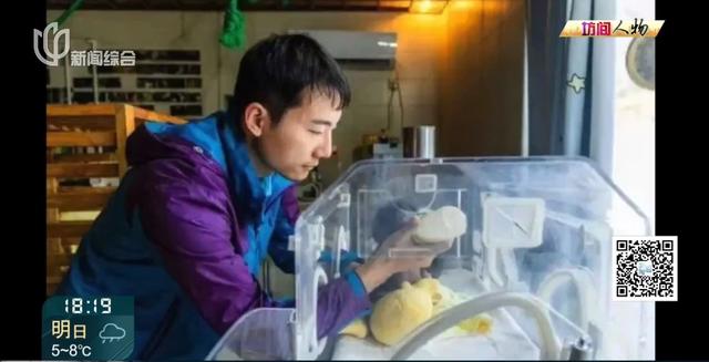 00后女生剑桥毕业，回上海找的工作让所有人意外！本人回应→