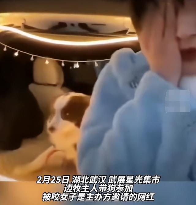 女网红强行撸狗被咬伤,事后要求狗主人赔偿,狗不懂事人也不懂吗