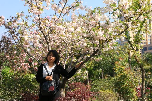 艳丽如霞,燃情似火