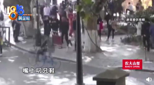 女主播在西湖景区叼着鞋跪爬还征婚,自称开播时把自己当小丑,被特保人员劝离