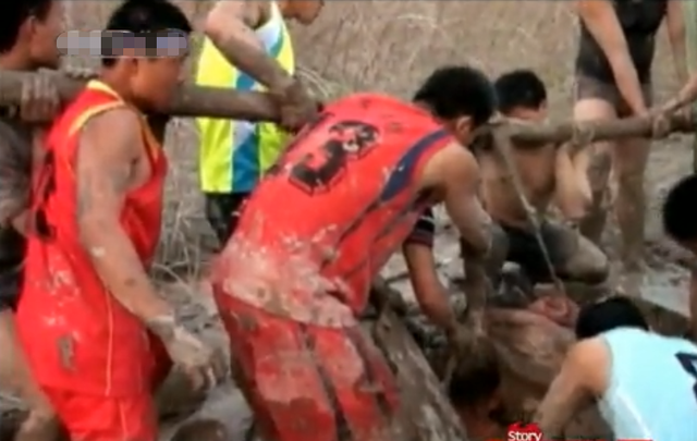 武汉矿场芦苇荡传出求救声，一女子深陷沼泽中，救援发现竟是孕妇