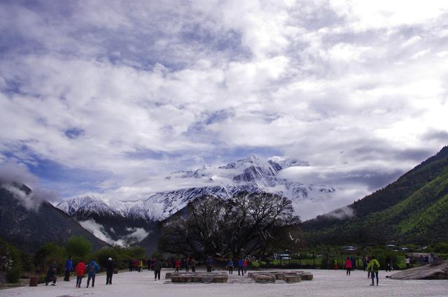最好不相见，如此便可不相忆！西藏你好美！
