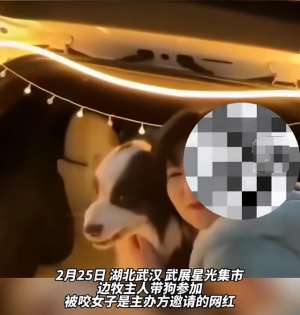 女主播日狗在线(女网红强行撸狗被咬伤，事后要求狗主人赔偿，狗不懂事人也不懂吗)