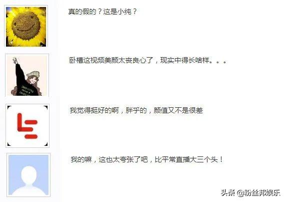 YY小纯就算再丑再胖，也总比文儿强吧，本人回应都是“粉丝”说的