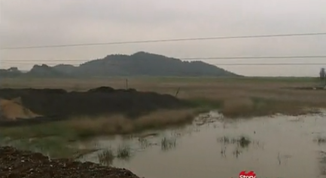 武汉矿场芦苇荡传出求救声，一女子深陷沼泽中，救援发现竟是孕妇