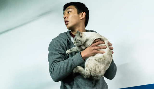 详解韩国高分电影《燃烧》中的现实讽刺和存在意义