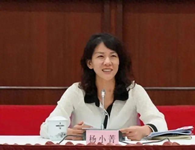 杨小菁,拟任省辖市市委书记