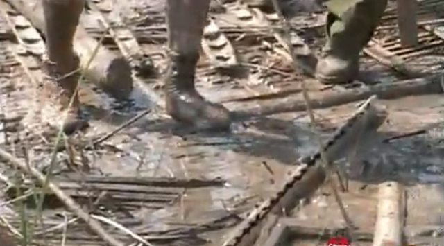 武汉矿场芦苇荡传出求救声，一女子深陷沼泽中，救援发现竟是孕妇