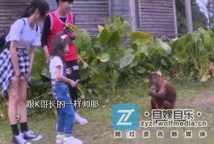 yy女主播大秀(YY夏可可长隆直播，大秀性感身材)