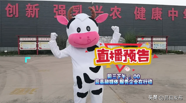 【服务企业在行动直播预告】男主播挤奶,2小时锁“鲜”