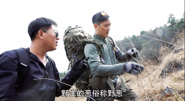 为什么《荒野求生》主播都必须是退役特种兵?谁是中国“贝爷”?