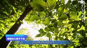 黄鳝钻女主播(社会放大镜丨黄鳝钻入男子下体 #内容过于真实#真实还原)