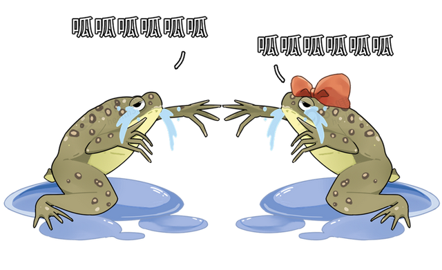 为了验孕，人类都用过哪些奇葩方法？如何用青蛙验孕？涨知识了