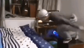 女老师在家直播涉黄被封，被网课逼疯的中国老师们