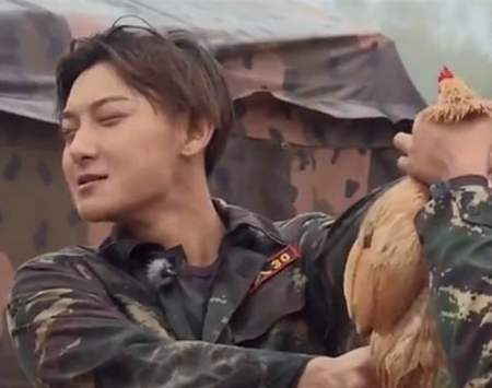 刘雯扛枪、李彦宏捡牛粪，这些名人上节目为什么这么拼？