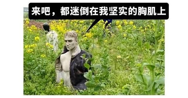 吵架吵到嘴咬嘴,智障新闻里的人类还有什么干不出来的!