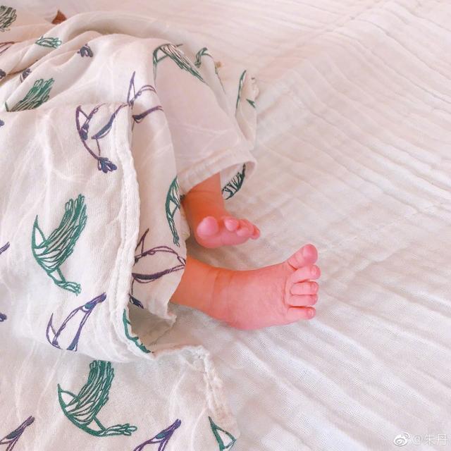 马龙有儿子啦，娱乐圈2017年出生的宝宝可真不少