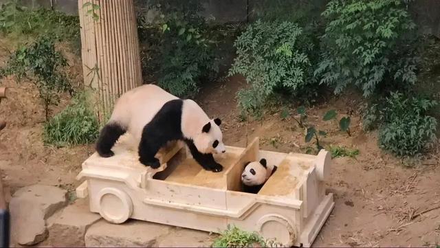 心里藏着小星星 生活才能亮晶晶！睿宝辉宝1周岁生日 爱与祝福同在