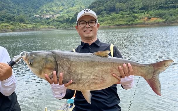 中国享受互联网发展红利的十大网红!1、疯狂小杨哥,2、辛巴