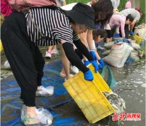 黄鳝女主播恐怖漫画(放生也成一门“生意”，倒64箱泥鳅入河真能获“功德”？)