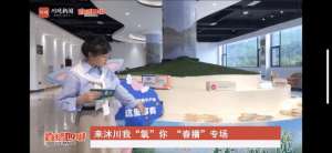 济南最火的yy女主播(“来沐川 我‘氧’你”直播 超千万人次一起“森呼吸”)