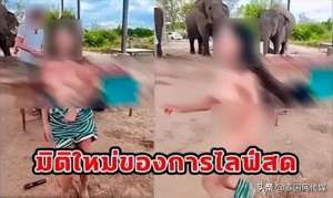 女主播自慰网站(带货卖嗨了？泰国变性人直播间大秀下体、裸奔惹众议)