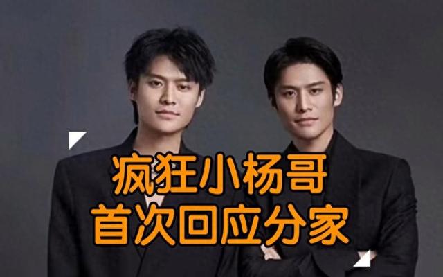 中国享受互联网发展红利的十大网红!1、疯狂小杨哥,2、辛巴