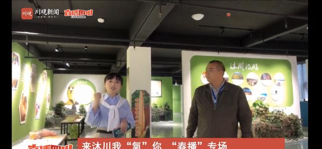 “来沐川 我‘氧’你！”直播 超千万人次一起“森呼吸”