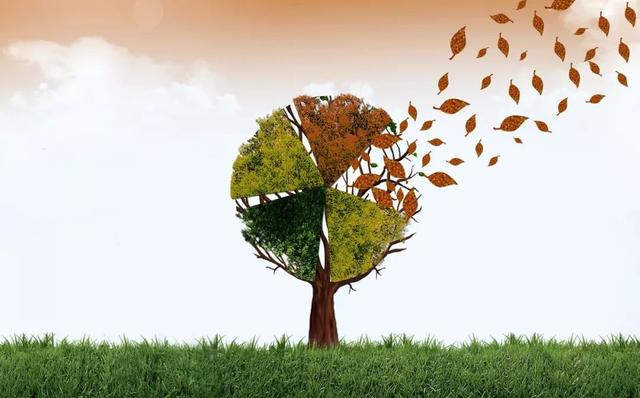 这6个正规医院隐藏项目,你一定都不知道