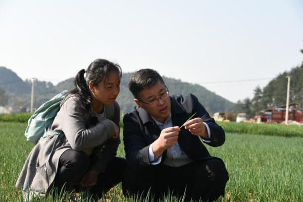 “揭榜挂帅”赴田间