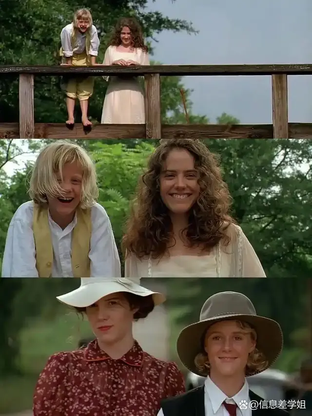 《油炸绿番茄》:女性的生存美学——论温柔如何成为最锋利的反抗