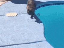 车上鼓掌得了性病,保险公司气疯了