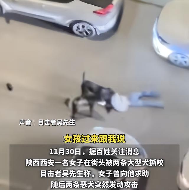 墙倒众人推！网红潘宏被曝踩儿子头合影，曾因故意伤害判刑一年