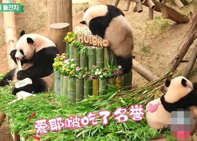 心里藏着小星星 生活才能亮晶晶！睿宝辉宝1周岁生日 爱与祝福同在