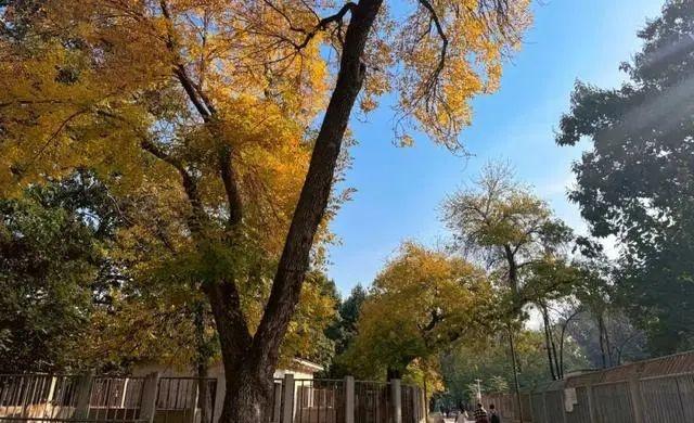 萌兰新家曝光！喜提“豪华套房”