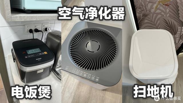 养猫避坑指南,干货助你轻松养好哈基米