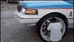 “弟弟的女同学才初一，都这么早熟了吗？”哈哈哈