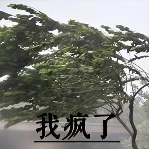 车上鼓掌得了性病,保险公司气疯了