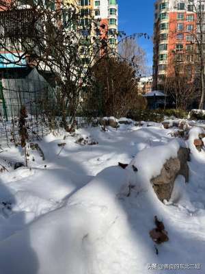 女主播东北二嫂视频(她咽下了最后一口气，孩子们也长长的舒了一口气，而我只能叹气。)