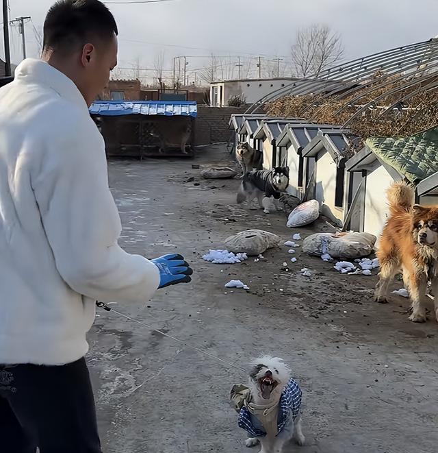 墙倒众人推！网红潘宏被曝踩儿子头合影，曾因故意伤害判刑一年