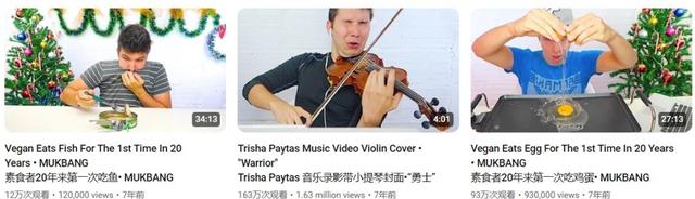 拥有百万粉丝的 YouTube 主播，花了两年戏耍全世界