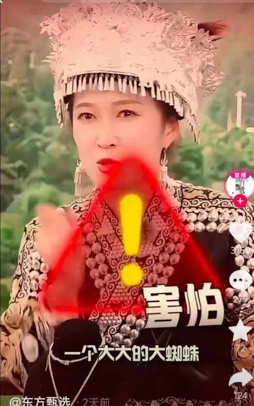 甄选风波再起! 一姐YOYO口无遮拦,直播间解读越南,砸场子专业户