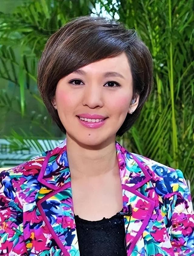 央视“国脸”欧阳夏丹：已隐退4年，背后原因令人心酸