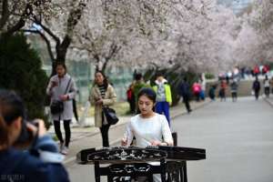 培养女主播(为什么现在好多小姐姐不愿意做主播了呢？)