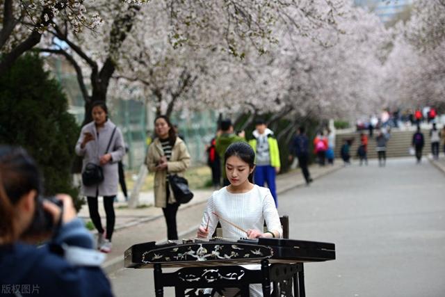 为什么现在好多小姐姐不愿意做主播了呢?