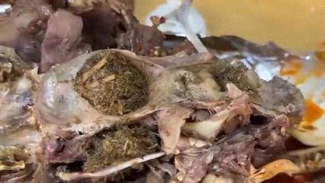 博主直播吃卤羊头时吃出青草，官方通报：情况属实，将严肃查处