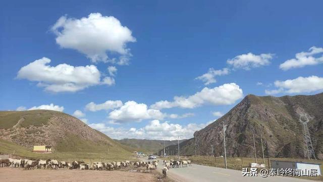 河南女孩美美直播时意外身亡，徒步西藏是追求梦想还是无知者无畏